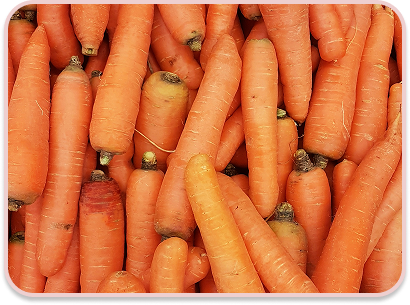 Carrots